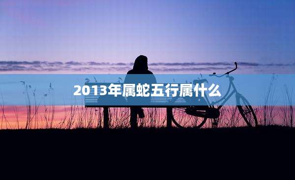 2013年属蛇五行属什么