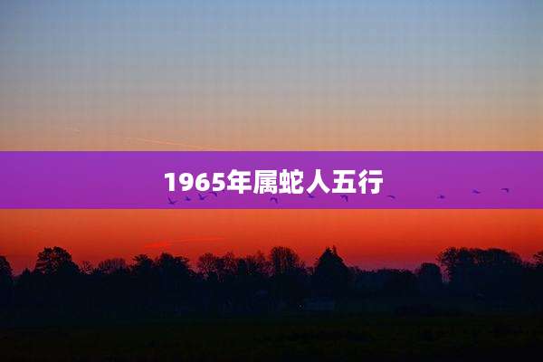 1965年属蛇人五行