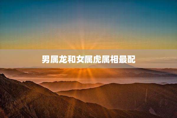 男属龙和女属虎属相最配