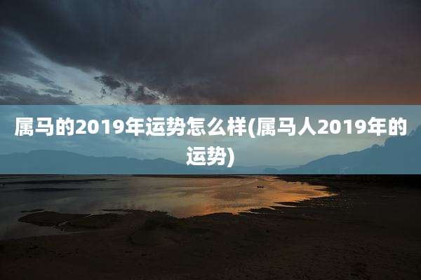 属马的2019年运势怎么样(属马人2019年的运势)