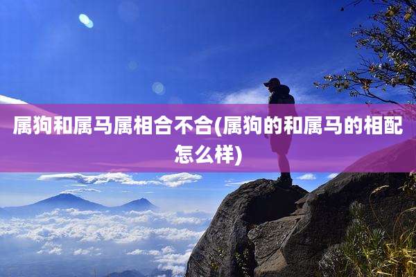 属狗和属马属相合不合(属狗的和属马的相配怎么样)