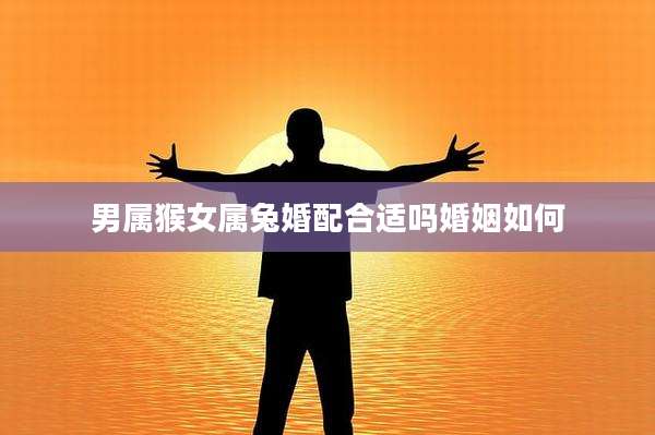 男属猴女属兔婚配合适吗婚姻如何