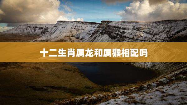 十二生肖属龙和属猴相配吗