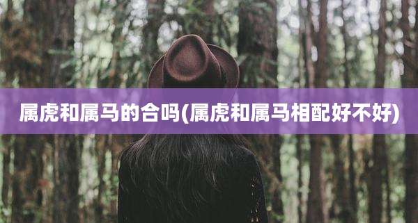 属虎和属马的合吗(属虎和属马相配好不好)
