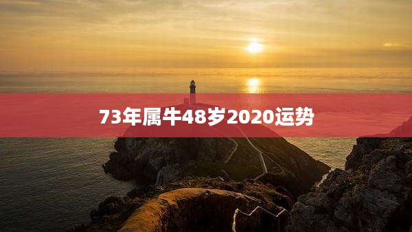 73年属牛48岁2020运势