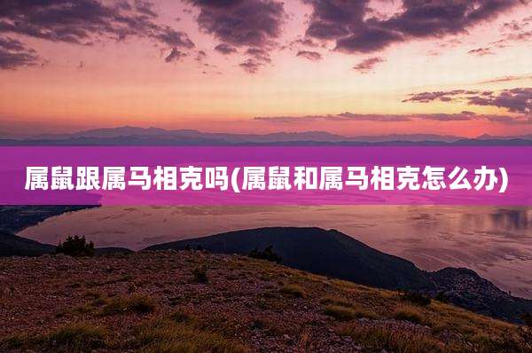 属鼠跟属马相克吗(属鼠和属马相克怎么办)