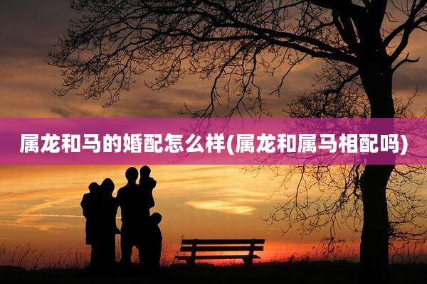 属龙和马的婚配怎么样(属龙和属马相配吗)