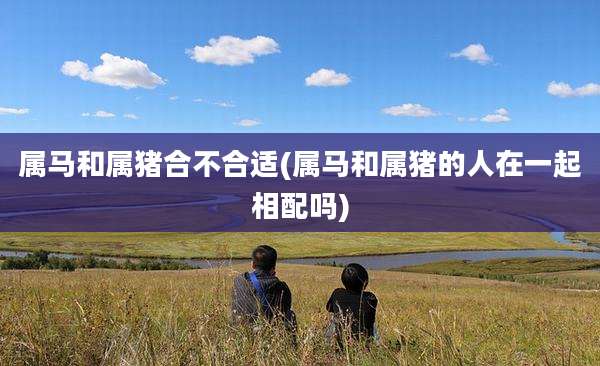 属马和属猪合不合适(属马和属猪的人在一起相配吗)