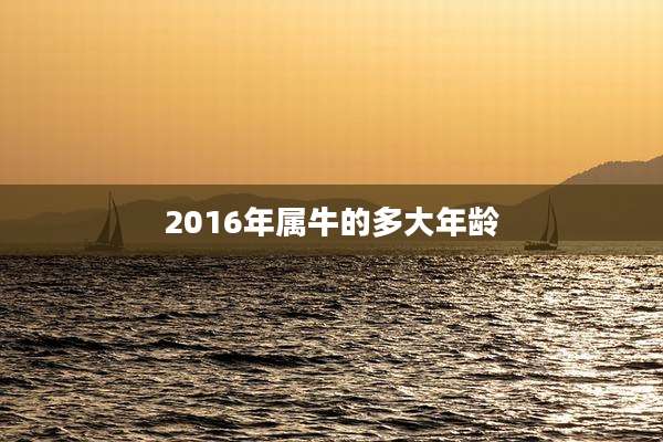 2016年属牛的多大年龄