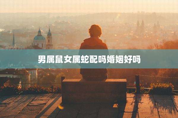 男属鼠女属蛇配吗婚姻好吗