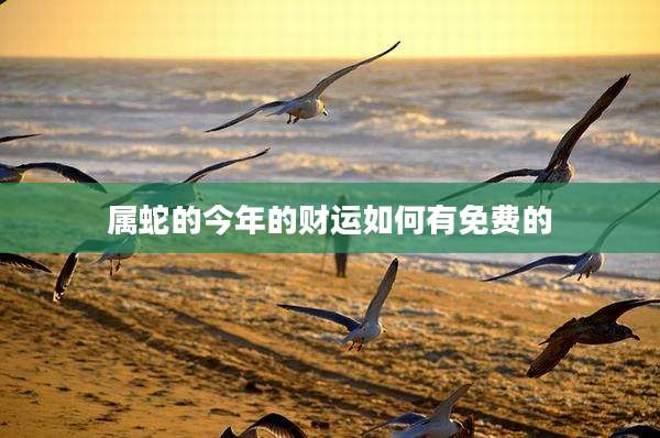 属蛇的今年的财运如何有免费的
