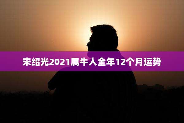 宋绍光2021属牛人全年12个月运势