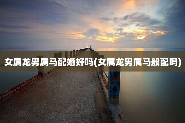 女属龙男属马配婚好吗(女属龙男属马般配吗)