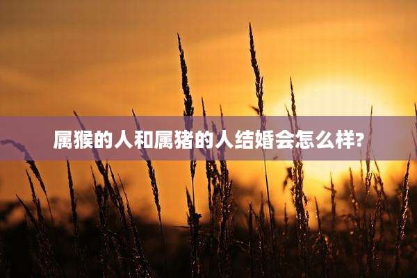 属猴的人和属猪的人结婚会怎么样?