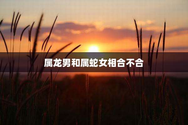 属龙男和属蛇女相合不合