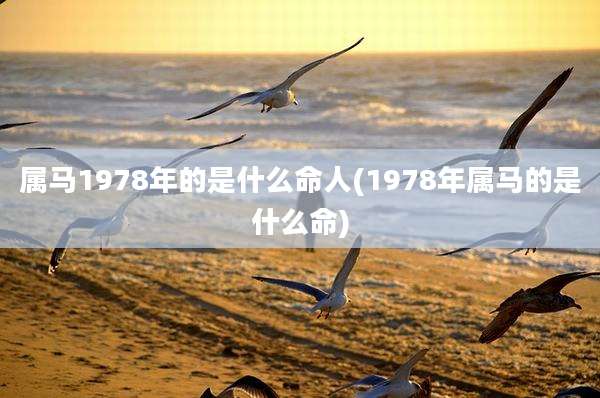 属马1978年的是什么命人(1978年属马的是什么命)