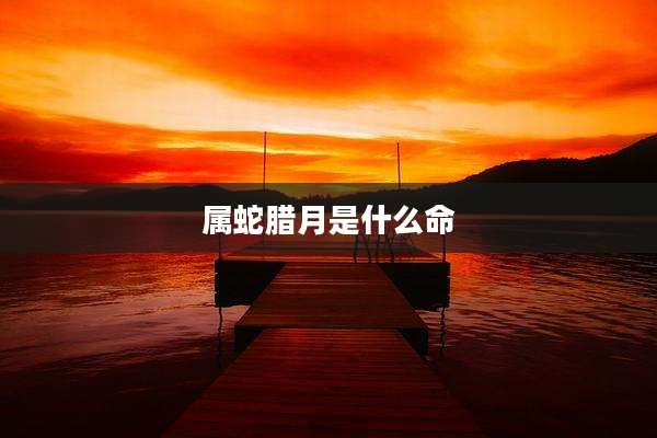 属蛇腊月是什么命