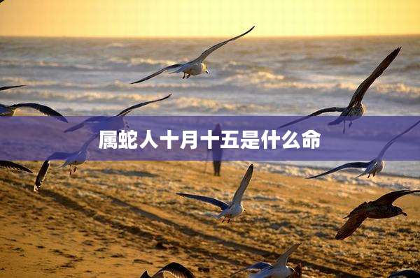 属蛇人十月十五是什么命