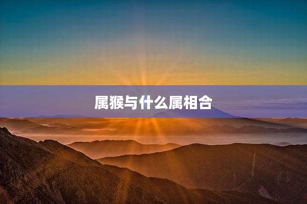 属猴与什么属相合