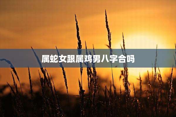 属蛇女跟属鸡男八字合吗