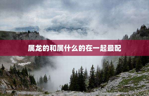 属龙的和属什么的在一起最配