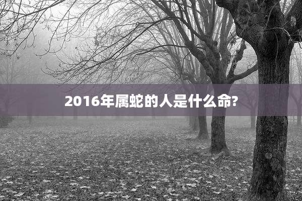 2016年属蛇的人是什么命?
