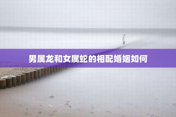 男属龙和女属蛇的相配婚姻如何