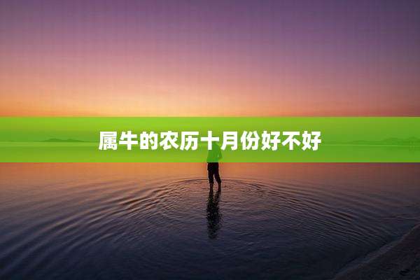 属牛的农历十月份好不好