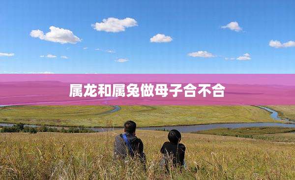 属龙和属兔做母子合不合