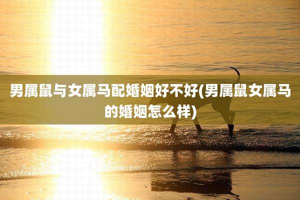 男属鼠与女属马配婚姻好不好(男属鼠女属马的婚姻怎么样)