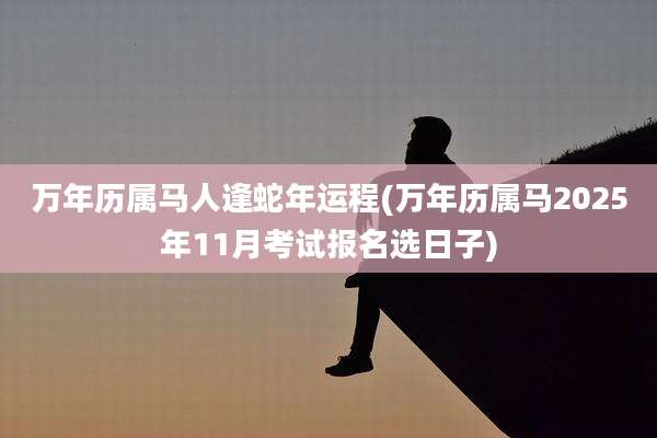 万年历属马人逢蛇年运程(万年历属马2025年11月考试报名选日子)