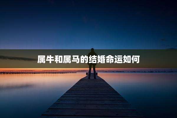 属牛和属马的结婚命运如何