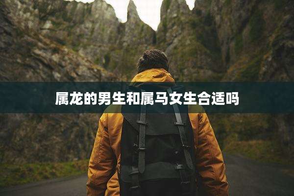 属龙的男生和属马女生合适吗