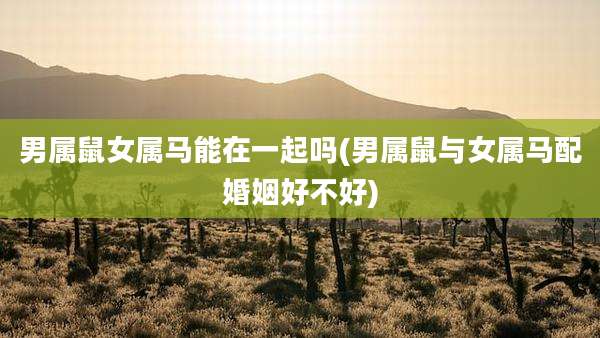 男属鼠女属马能在一起吗(男属鼠与女属马配婚姻好不好)