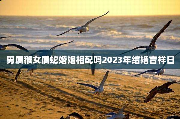 男属猴女属蛇婚姻相配吗2023年结婚吉祥日