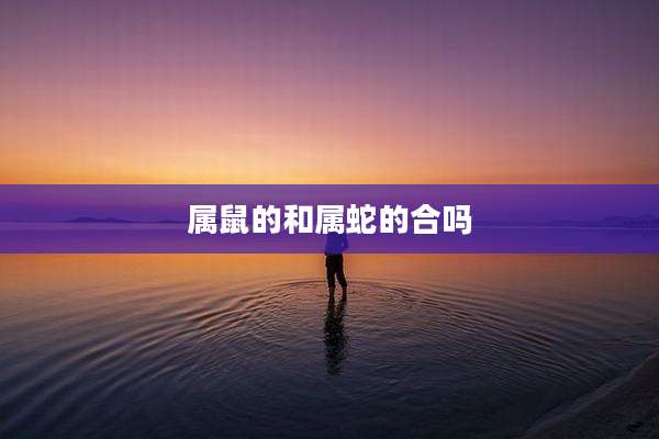 属鼠的和属蛇的合吗