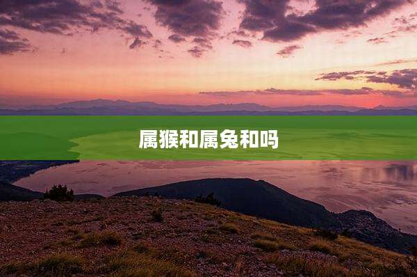 属猴和属兔和吗