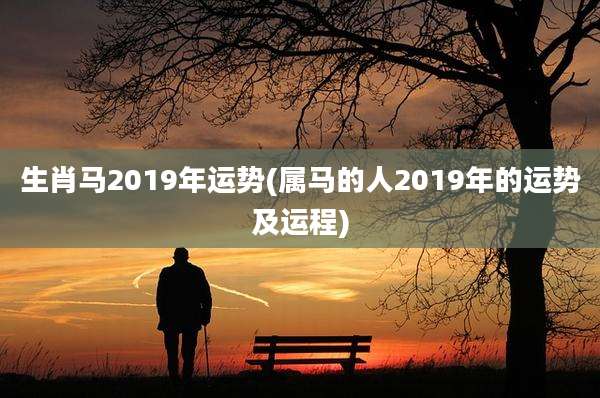 生肖马2019年运势(属马的人2019年的运势及运程)