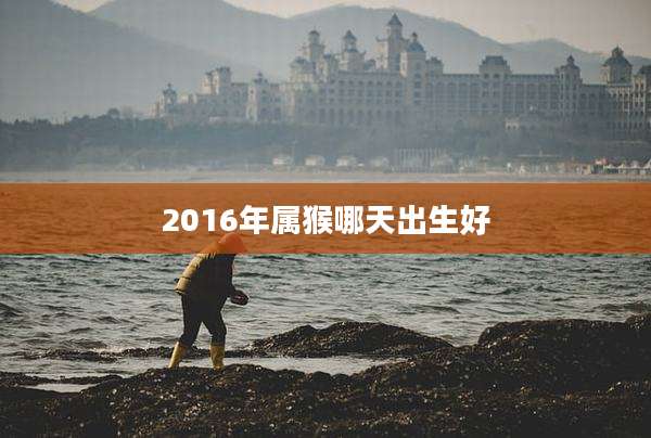 2016年属猴哪天出生好