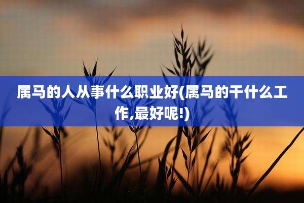 属马的人从事什么职业好(属马的干什么工作,最好呢!)