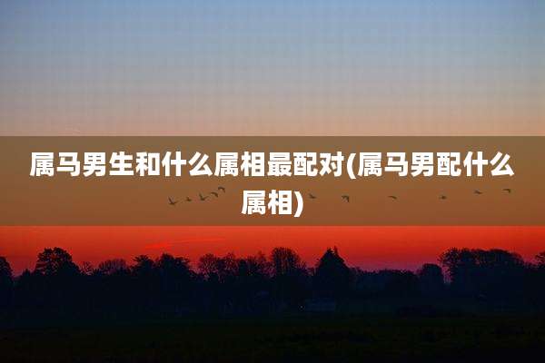 属马男生和什么属相最配对(属马男配什么属相)