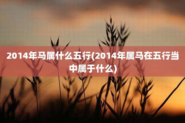 2014年马属什么五行(2014年属马在五行当中属于什么)