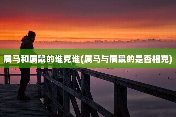 属马和属鼠的谁克谁(属马与属鼠的是否相克)