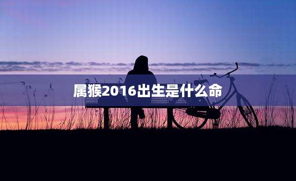 属猴2016出生是什么命