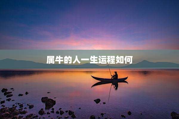 属牛的人一生运程如何