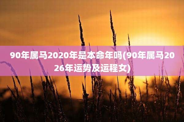90年属马2020年是本命年吗(90年属马2026年运势及运程女)