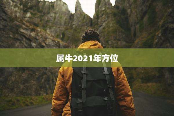 属牛2021年方位