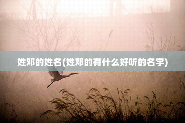 姓邓的姓名(姓邓的有什么好听的名字)