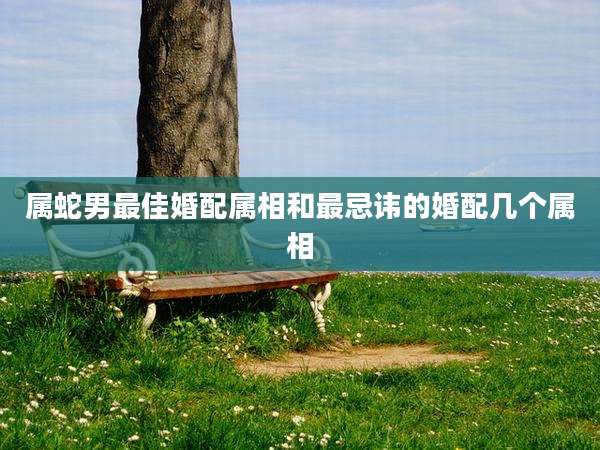 属蛇男最佳婚配属相和最忌讳的婚配几个属相