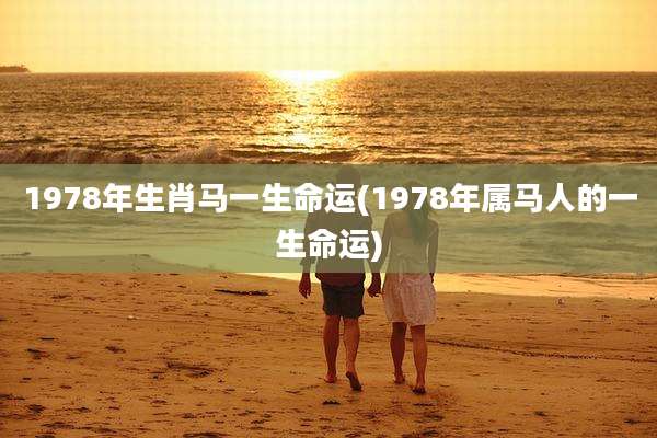 1978年生肖马一生命运(1978年属马人的一生命运)